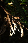 DPP_04659