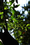 DPP_04668