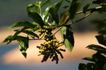 DPP_04669