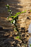 DPP_04673