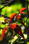 DPP_04674