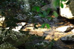 DPP_04689