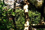 DPP_04692