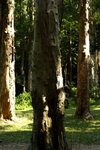 DPP_04693