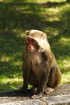 DPP_04697