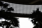 DPP_04777
