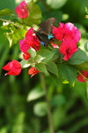 DPP_04838
