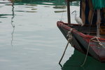 DPP_06316
