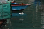 DPP_06329