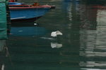DPP_06330
