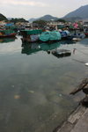 DPP_06341