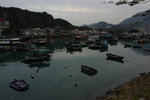 DPP_06342