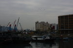 DPP_06344