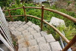 DPP_06346