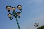 DPP_06786