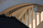 DPP_06788