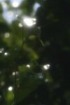 _MG_3410