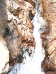 IMG_0011