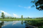 tn_DSC_0062