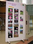2005�~4��󰨾b�s�s���G�Ӥj��i�����a�i�X�o���@�~