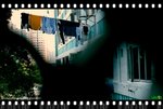 DSC_0222a_mwf