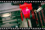 DSC_0225a_mwf