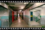 DSC_0238a_mwf
