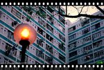 DSC_0274a_mwf