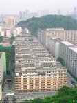 P7180065_nEO_IMG