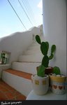 IMG_0247
