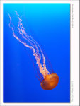 DSCF4457