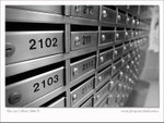 DSC_6015