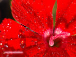 DSC_3311_1024X768