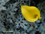 DSC_3587_1024X768
