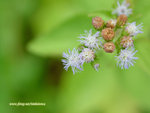 DSC_8726_1024X768