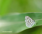 DSC_8821_1280X1024
