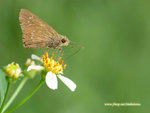 DSC_8922_1024X768