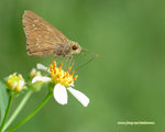 DSC_8922_1280X1024