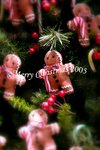 Christmas2005