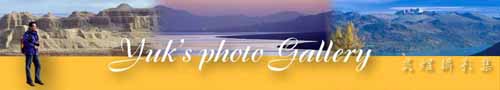 Yuk's Photo Gallery