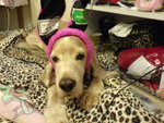 DSC00004-