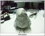 DSCF1684