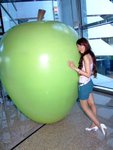 DSCF0961