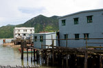DPP_0040