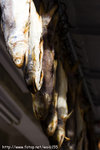 DPP_0057