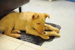DSC_7673_resize