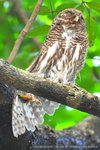 DSC_4107abo