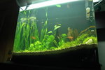 Wilson's Aquarium on 2006-08-17
