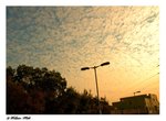 DSC_4298