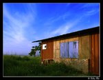 �ժd
DSC_8968a